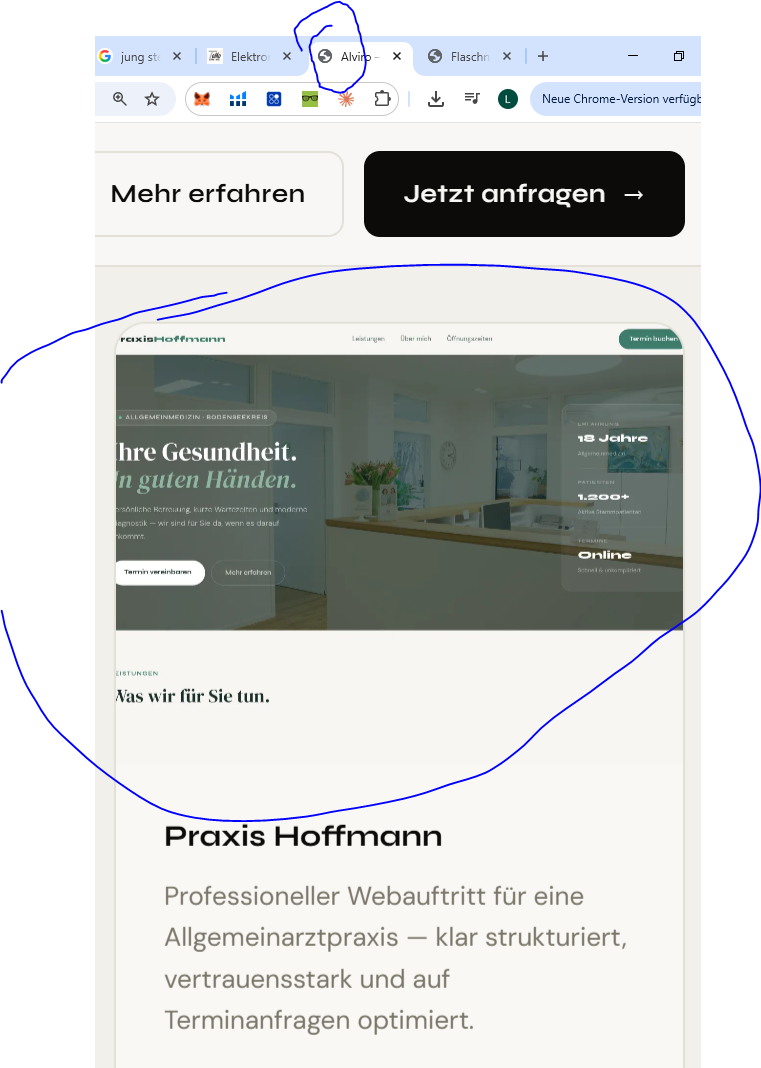 Alviro Website